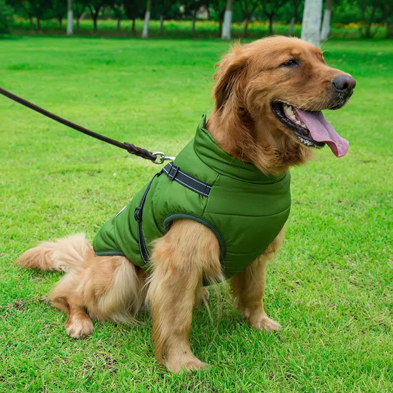 Waterproof animal jacket